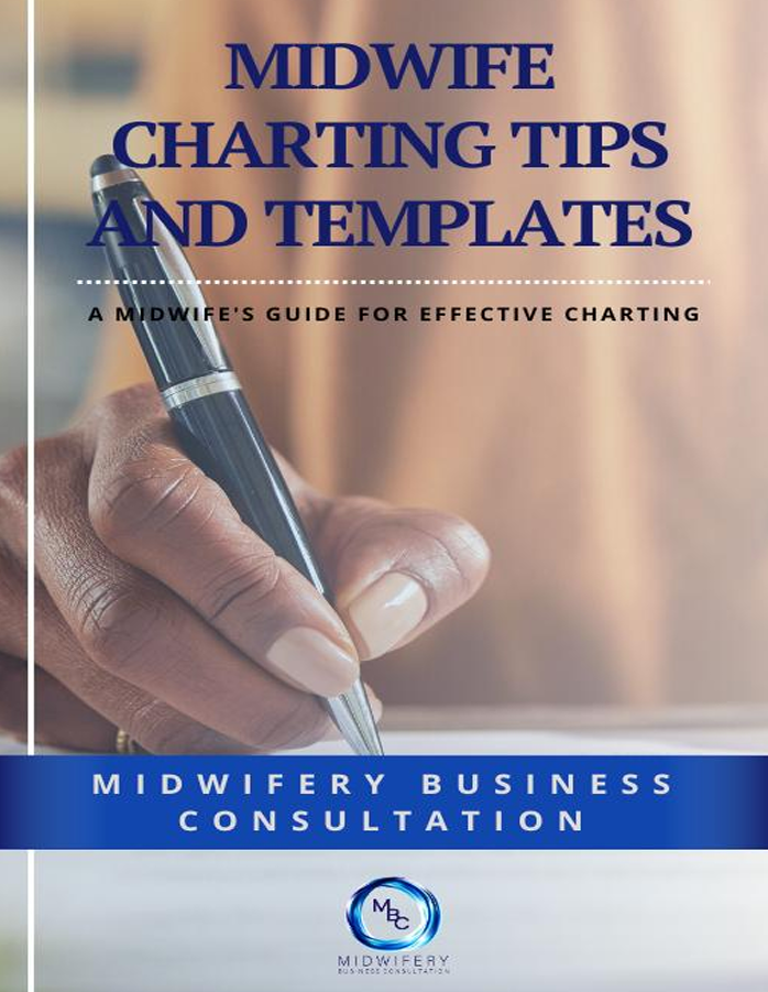 Midwifery Charting Tips and Template eBook - Image 2