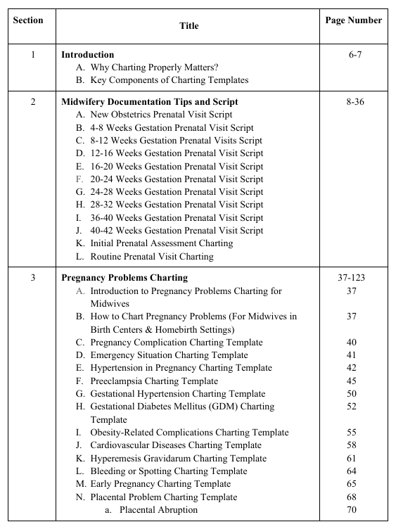 Midwifery Charting Tips and Template eBook - Image 3