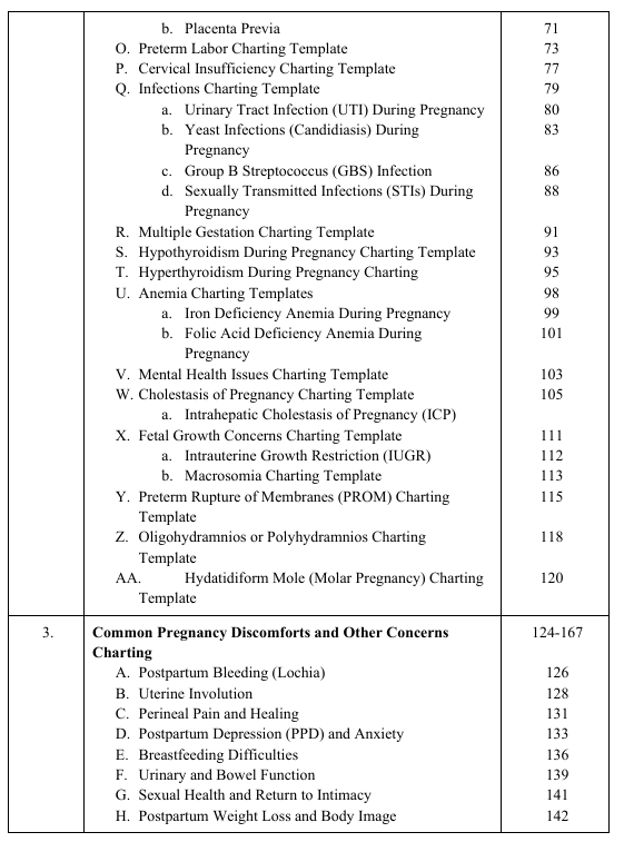 Midwifery Charting Tips and Template eBook - Image 4