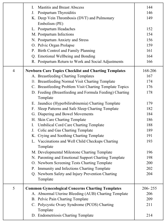 Midwifery Charting Tips and Template eBook - Image 5