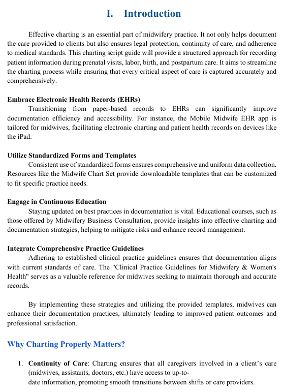 Midwifery Charting Tips and Template eBook - Image 7